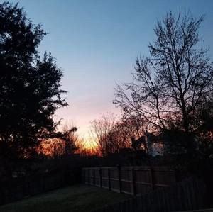 Meet your Posher, George b